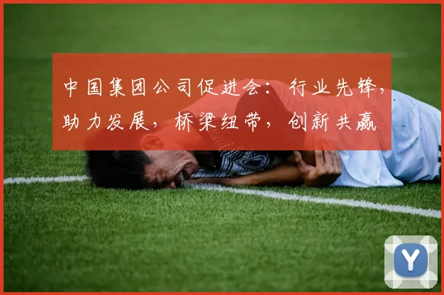 中国集团公司促进会：行业先锋，助力发展，桥梁纽带，创新共赢