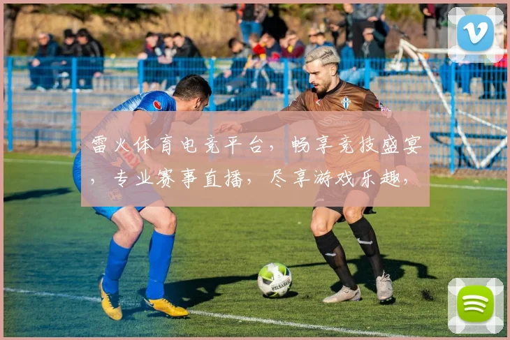 雷火体育电竞平台，畅享竞技盛宴，专业赛事直播，尽享游戏乐趣，两大特色，不容错过
