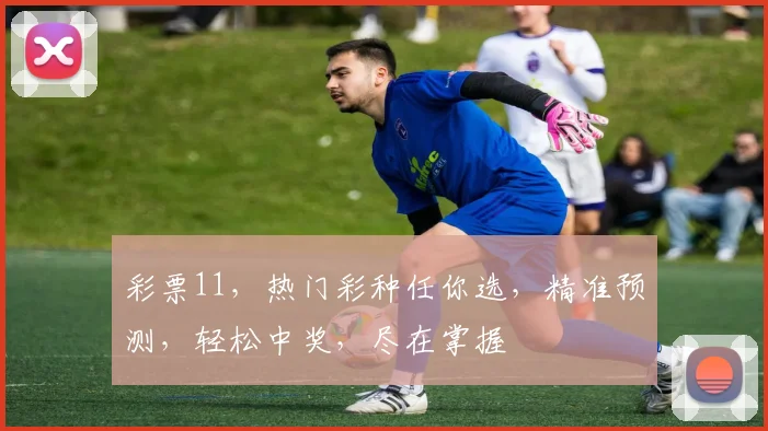 彩票11，热门彩种任你选，精准预测，轻松中奖，尽在掌握