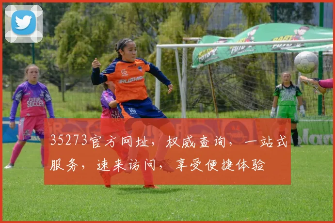 35273官方网址，权威查询，一站式服务，速来访问，享受便捷体验
