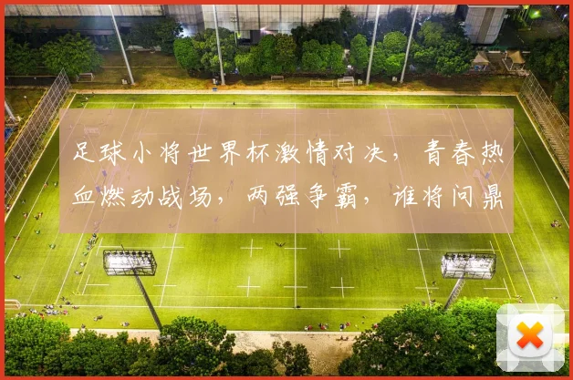 足球小将世界杯激情对决，青春热血燃动战场，两强争霸，谁将问鼎冠军