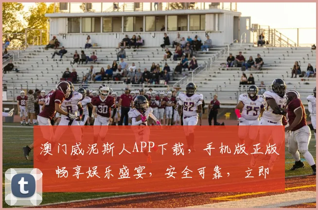 澳门威泥斯人APP下载，手机版正版，畅享娱乐盛宴，安全可靠，立即下载