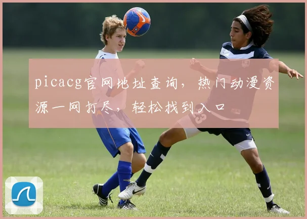 picacg官网地址查询，热门动漫资源一网打尽，轻松找到入口