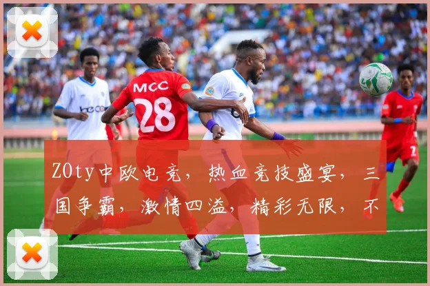 ZOty中欧电竞，热血竞技盛宴，三国争霸，激情四溢，精彩无限，不容错过，三大赛事，瞩目焦点。